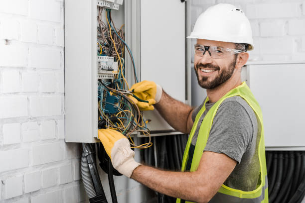 Best Electric Panel Repair  in Cheswick, PA